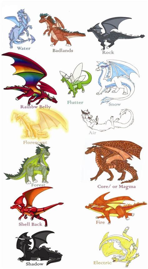 11 Best Dragon Species Images On Pinterest Train Your Dragon How To