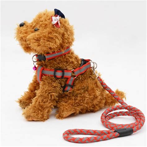 1pcs Pet Supplies Pet Dog Puppy Chain Traction Rope Braided Reflective