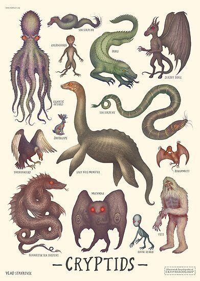 Cryptids Cryptozoology Species Poster For Sale By Vlad Stankovic