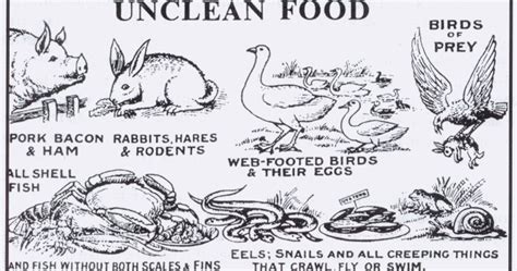 Animals that are not fit for food. A Blog of Beasts!: Clean vs. Unclean