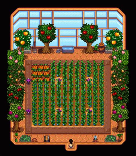 My finalized Year 3 greenhouse! It may not be the prettiest, but I’m