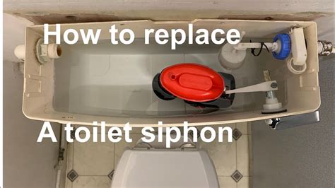 How To Replace A Toilet Cistern Uk Howotre