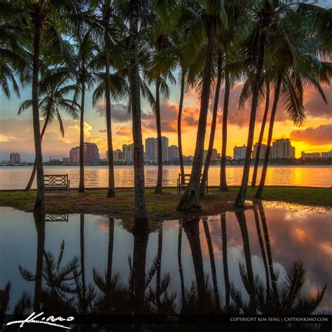 Palm Beach Island Coconut Tree Reflection Hdr Photography By Captain Kimo