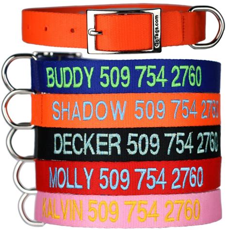 The Best Personalized Dog Collars For Your Puppy Or Adult Dog