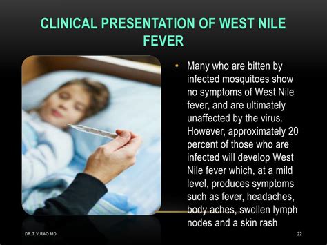 Ppt West Nile Fever Powerpoint Presentation Free Download Id676477
