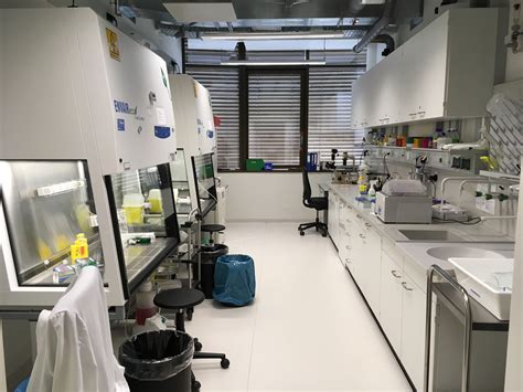 Cell Culture Lab Heinz Nixdorf Chair Of Biomedical Electronics