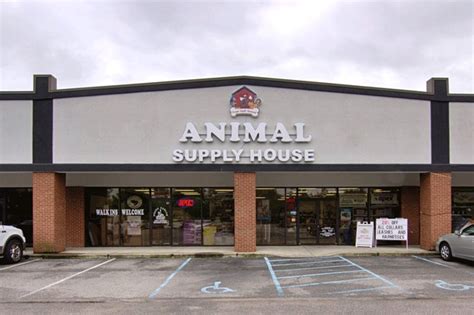 The shelter staff think i am about 7 weeks old. Animal Supply House Lexington 2361 Augusta Hwy, Lexington ...