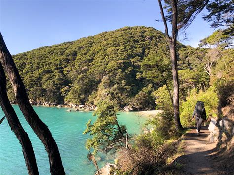 A Guide To Walking The Abel Tasman Coast Track New Zealand — Laura The