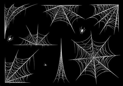 Spiderweb Set Isolated On Black Transparent Background Cobweb For