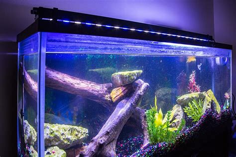 The best cool and unique aquarium decorations that safe for fish. Unique Aquarium Style & Aquarium Decorations - Aquadecor Backgrounds