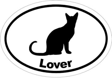 Kitty Bumper Sticker Wickedgoodz Oval Cat Lover Vinyl Decal Perfect For