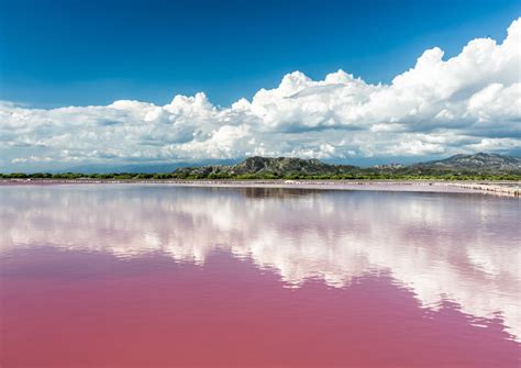 The Best Lake Retba Lac Rose Tours And Tickets 2019 Senegal Viator