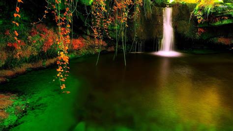 Cave Waterfall wallpapers HD free - 447286 | Scenic waterfall, Forest waterfall, Waterfall