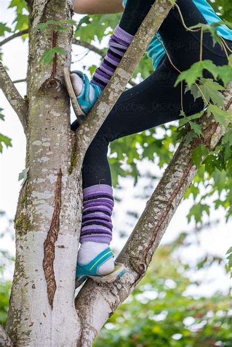 Girl Climbing A Tree Del Colaborador De Stocksy Ronnie Comeau Stocksy