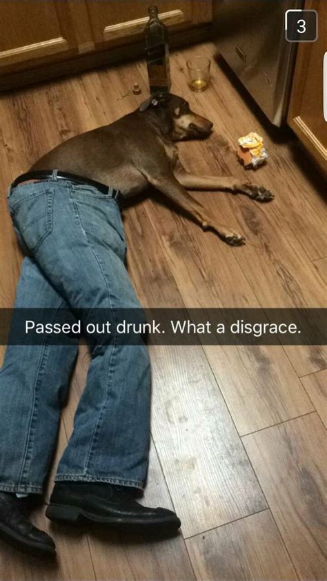 Passed Out Drunk Myconfinedspace