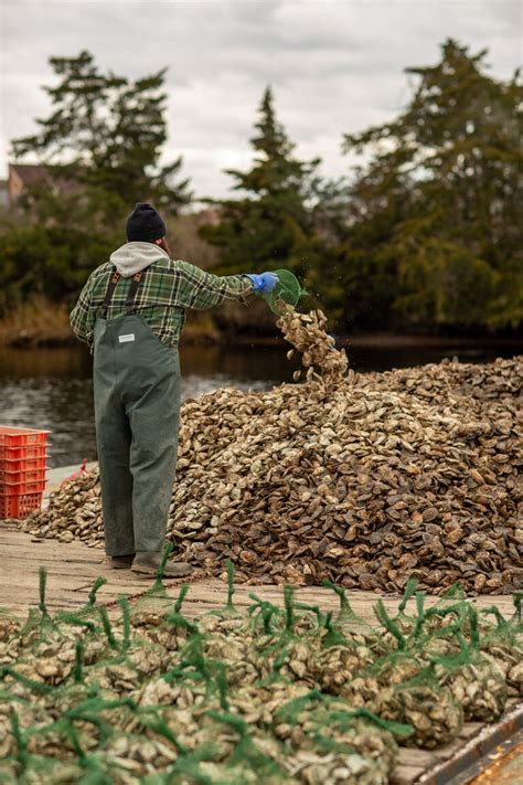 The Nature Conservancy Issues 1 Million In Aquaculture Grants
