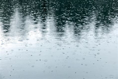 Trees Reflecting In Water Pond With Rain Drops And Ripples Stock Image