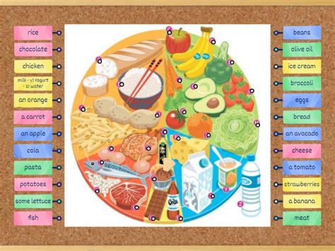 Eatwell Plate Labelled Diagram