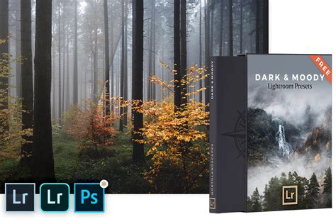Subscribe for free * photography tips and tutorials * editing techniques * lightroom tips & workflows * free lightroom presets & marketing resources grab your free presets: FREE Dark & Moody Lightroom Presets by Northlandscapes ...
