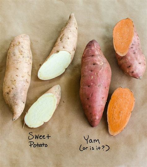 Types Of Sweet Potatoes Taka Vegetable