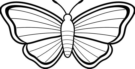 Sketsa sendiri biasanya di gambarkan dengan cara digoreskan dengan menggunakan media seperti pensil atau yang lainya. +347 Gambar Sketsa Kupu-kupu Yang Indah dan Cara ...