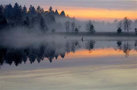 Misty Lake By Burtn On Deviantart