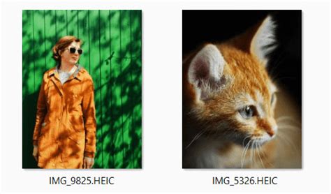 Best way to convert your heic to jpg file in seconds. Open HEIC files on Windows