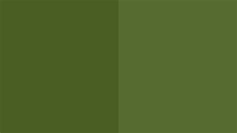 Olive Green Background Hd