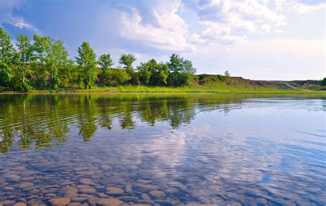 Free Images Landscape Sea Tree Nature Marsh Wilderness Sky