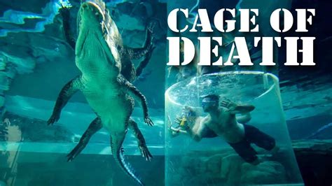 Cage Of Death Swim With Crocodiles In Darwin Australia Youtube