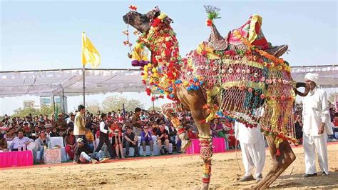Camel already supports a lot of components in its dsls for almost every possible technology, but it also gives the ability for writing custom in this quick article, we presented an introduction to apache camel and demonstrated benefits of using camel for integration tasks such as routing files from one. Bikaner Camel Festival 2020 in India, photos, Festival ...