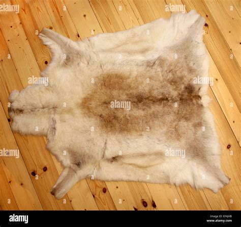 Reindeer Fur Skin Whole Wood Stock Photo Alamy