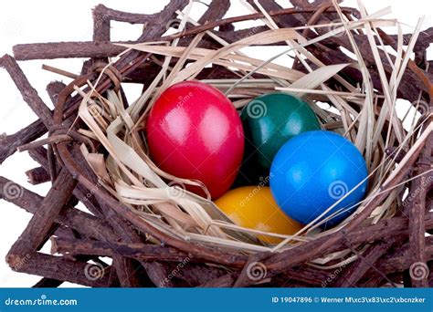 Easter Eggs In Bird Nest Stock Photo Image Of Indoors 19047896