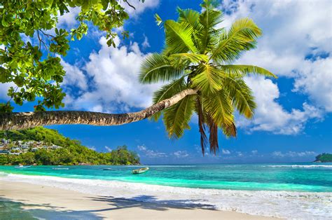 Maybe you would like to learn more about one of these? The 10 Best Tropical Islands for Retirees | Senior Spokane