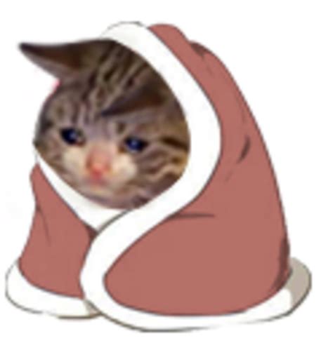 Sad Cat In A Blanket Crying Cat Know Your Meme