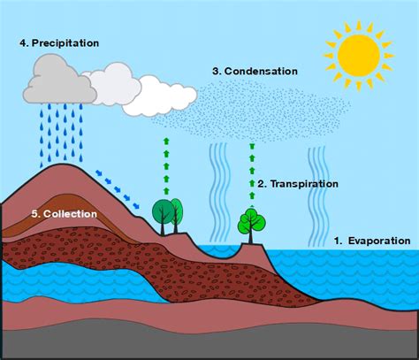 The Water Cycle Science News