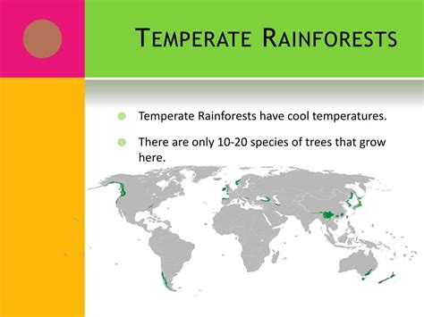 Ppt Rainforests Powerpoint Presentation Free Download Id2057110