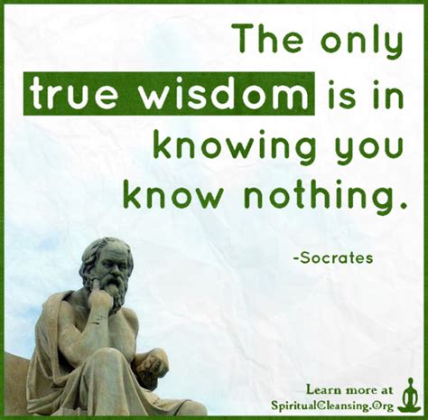 The Only True Wisdom Is In Knowing You Know Nothing
