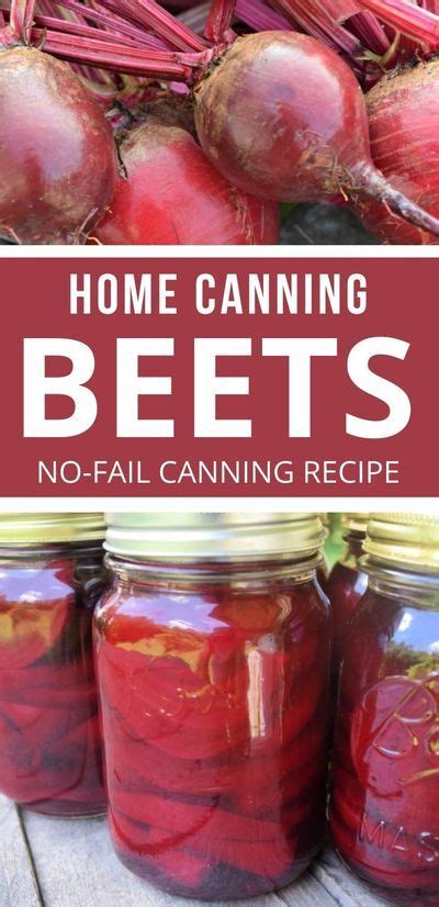 Easy Way Of Canning Beets Recipe In 2020 Canning Beets Canning