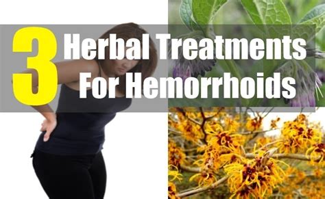 3 Most Effective Herbal Treatments For Hemorrhoids How To Treat