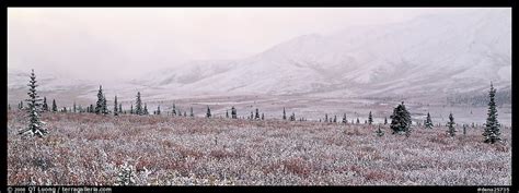 Panoramic Picturephoto Misty Mountain Scenery With Fresh Snow On