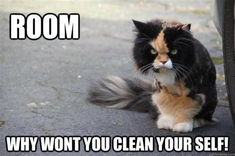 See more ideas about funny funny memes and clean funny memes. Watch the Wonderful Funny Cat Memes Clean - Hilarious Pets Pictures