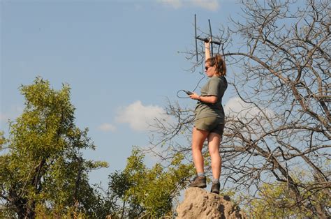 Conservation Volunteering In Big 5 Private Game Reserve South Africa