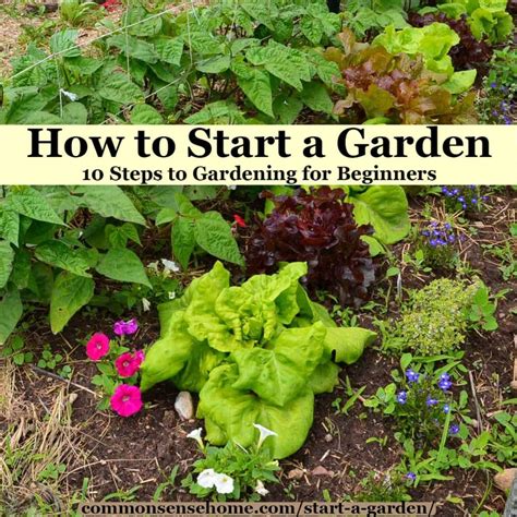 How To Start A Garden Steps To Gardening For Beginners