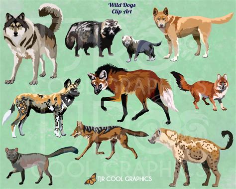 Wild Dogs Digital Realistic Clip Art Png Printable Gray