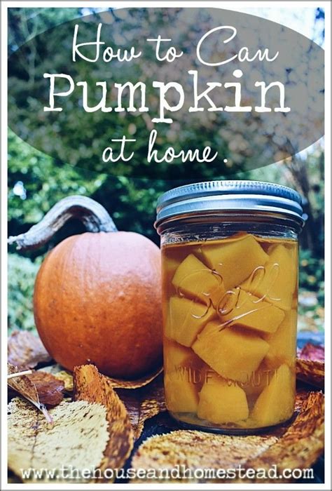 How To Can Pumpkin At Home The House And Homestead