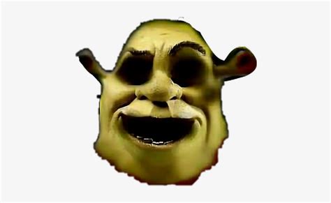 Ahhhhh Spooky Scary Shrek Shrekisloveshrekislife Memes Shrek Face