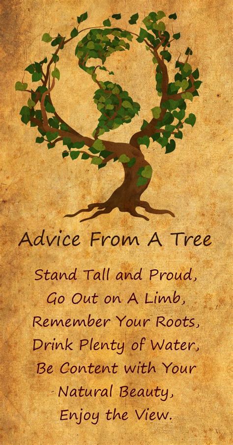 Advice From A Tree Tree Of Life Quotes Nature Quotes Trees Tree Quotes
