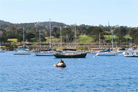 Life Lessons And The Importance Of Community | It's a Lovely Life!