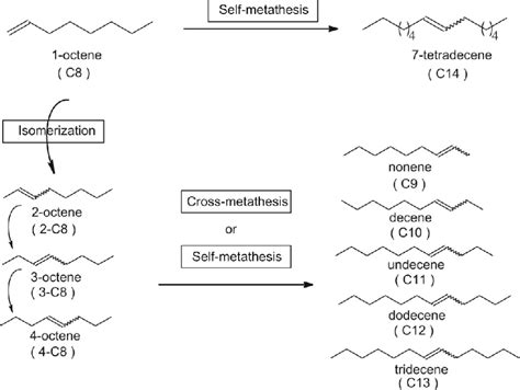 Experimental And Reaction Kinetic Investigation Of 1 Octene Metathesis